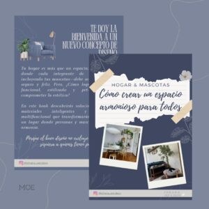 Cómo crear un espacio armonioso para todos