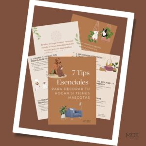 7 Tip Esenciales para Decorar tu Hogar si tienes mascotas